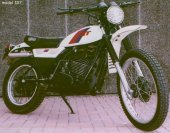 1981 Yamaha DT 250 MX photo